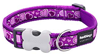 Red Dingo Bucklebone Dog Collar Design, Breezy Love Purple, Medium 20mm