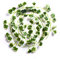 Best Artificial 200cm / 7ft Ivy Garland Hanging Vine String Plant (Variegated Crab-Apple - IL04)