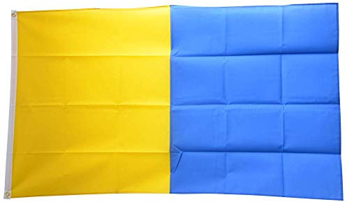 Flaggenfritze® Flagge/Fahne Gelb-Blau - 90 x 150 cm
