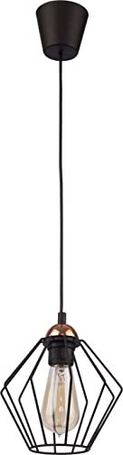 Licht-Erlebnisse Pendellampe mit Metall Käfig in schwarz Kupfer D:20cm E27 Vintage modern für Wohnzimmer Küche Hängeleuchte Pendelleuchte Hängelampe Innen