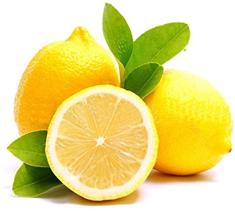 Generic Semillas de árboles de limón, 20 piezas Semillas de árboles de limón raros Jardín de su casa Bonsái de crecimiento rápido Decoración de frutas saludables Semillas de limonero 20 unida