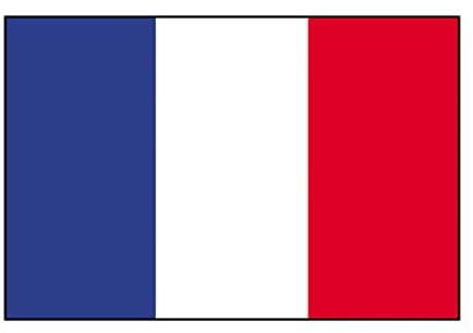 ARKRAFT Lot de 2 drapeaux format 150 x 90 cm (FR)