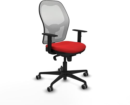 Piqueras y Crespo Ergonomischer Bürostuhl mit fester Rückenlehne, Lendenwirbelstütze 1D, Synchronmechanik 5 Positionen, für Verwendung bis zu 120 kg, attraktive Farbe