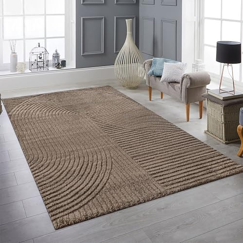 Teppich-Traum Teppich Hoch-Tief-Effekt Bogenmuster Braun 240x340 cm | Kuschelig, wohnlich, robust, pflegeleicht, angenehme Haptik, Wohnzimmer, Schlafzimmer, Arbeitszimmer