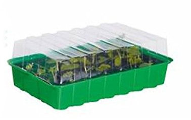 Mini serre en plastique 23 x 17 x 14 cm