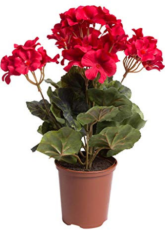 Flora-Seta künstliche Geranie (Geranienbusch) mit 7 Stielen und 3 kleinen und 4 größeren Blütenköpfen im Kunststofftopf (rot)