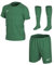 Nike Kinder LK NK Dry PARK20 KIT Set K Football, Pine Green/Pine Green/(White), L