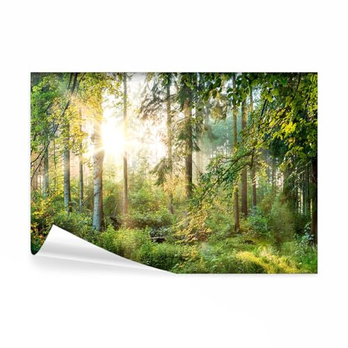decomonkey Photo Wallpaper Forest Landscape Nature Trees 300 x 210 cm | Non-Woven, Wall Mural, Wall Art, Modern Design, Art Print, Home Decoration, Bedroom, Living Room, Sun Wood, Green Brown