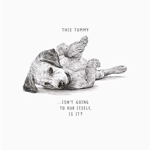 Pigment Productions Artistic Open Blank Greeting Card - Tummy Isn't Going To Rub Itself - Sketched Puppy Illustration - From The Life In Pencil Range