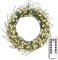 ZELUXDOT Plug in Firecracker Lights 10FT 100 LED Green Wire Copper String Lights Indoor Fairy Lights with Remote for Bedroom,Wedding,Birthday,Party,Christmas Tree,Garden,Patio