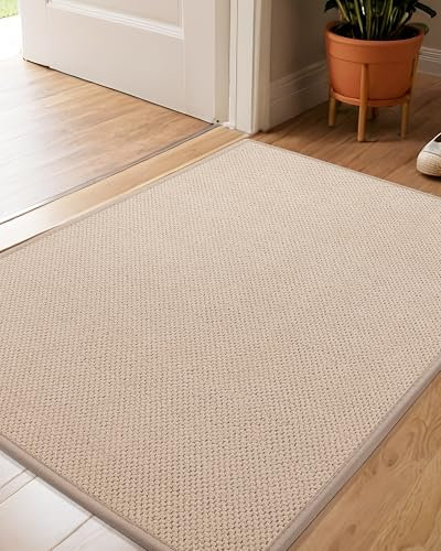 COLOR&GEOMETRY Door Matts Indoor 44x76 cm, Doormat Indoor Non-slip Dirt Trapper, Absorbent Inside Entrance Rug, Washable Low Profile Front Door Mats for Entryway, Beige(Rolled-up NO Creases)