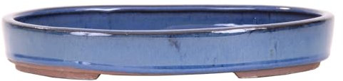 Bonsai - Schale, Waldschale, oval 25 x 18 x 4 cm blau 51008