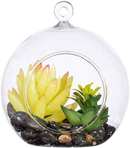 Murale Planteur,DéCoration Mur Pots à Suspendre MéTal Ronde Pots De Fleurs à Suspendu Verre Mural JardinièRe Clair Vase pour Artificielles Fleur,Cactus,Succulentes,DéCor pour Salon Salle à Manger
