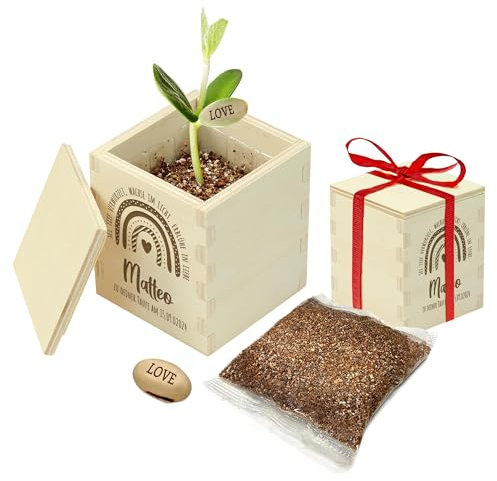 Casa Vivente Zauberbohne als Taufgeschenk, Personalisierte Gravur Name und Taufdatum, Pflanze mit Botschaft Love, Anzuchtset in gravierter Holzbox zur Taufe