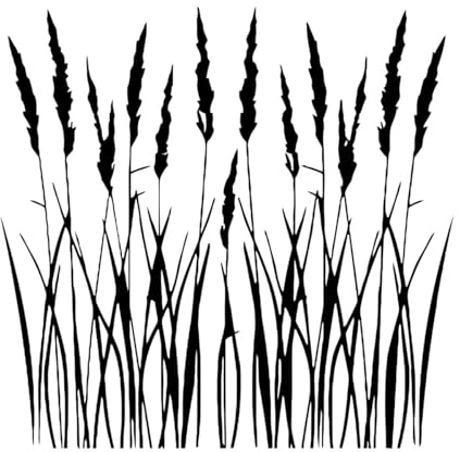 Wandaufkleber, Wandtattoo, Papier, Schilf, hohes Gras, Seehaus, Heu, 54x56cm Kunst, Wandbild, Malerei, groß, Schwarz