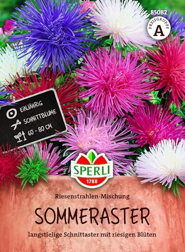 Sperli Sommerasternsamen Riesenstrahlen-Mischung 85082, Sommerblumensaat | Blumensamen für prächtige Astern mit riesigen Blüten bis 20 cm, als Schnittblume, für Beet & Einfassung, einjährig