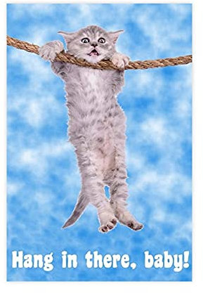 ZRRO Hang in There Baby Katze Retro Motivational Leinwand Poster Wandkunst Dekor Druck Bild Gemälde für Wohnzimmer Schlafzimmer Dekoration Rahmen:30 × 45 cm