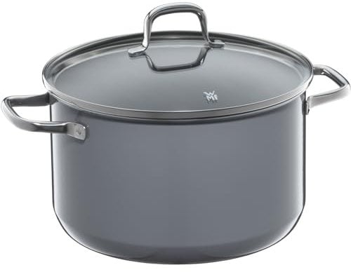 WMF Fusiontec Essential - Olla grande (24 cm, tapa de cristal, 6,4 L, cerámica de alta tecnología, resistente a los arañazos, sin revestimiento), color gris