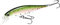 Lucky Craft Pointer 65, 056 Rainbow Trout Jerkbait Forellen Angelköder Süßwasserbarsch Angelköder Suspending Hard Bait mit Side to Side Action Gewicht Fixed Low Center Balancer