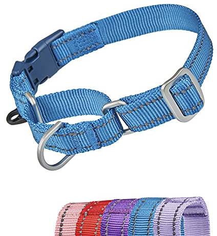 YUDOTE Reflektierende Martingale Hundehalsbänder,ausbruchsicheres Anti-Zug-Trainingshalsband mit Sicherheits-Schnellverschluss für schmale Kopfhunde erleichtern das Gehen,Klein,Blau