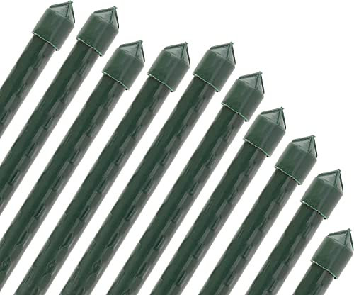 Suinga Lot de 25 Tuteur en Bambou plastifié 180 cm, 14-16 mm, Tubes en Bambou pour Plantes et Arbres, Baguettes de Bambou, Canne de Bambou