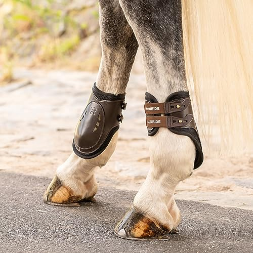 SUNRIDE Echtleder Streichkappen für Pferde (2er Set) – Turnierzugelassen, höherer Schnitt für mehr Schutz, Sicherheits-Knickverschluss, stoßabsorbierendes Schutznetz, Hinterbeinschutz - (M, braun)
