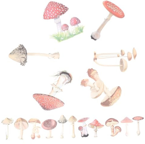 Abaodam 40stücke Kleine Pilzaufkleber Laptop Pilz Aufkleber Sammelalbum Skateboard Gepäck Aufkleber