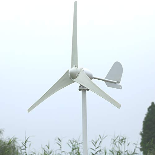 Ryanong Generatore eolico orizzontale di CA di alta efficienza 500W 12V o 24V per gli utensili elettrici all'aperto della barca