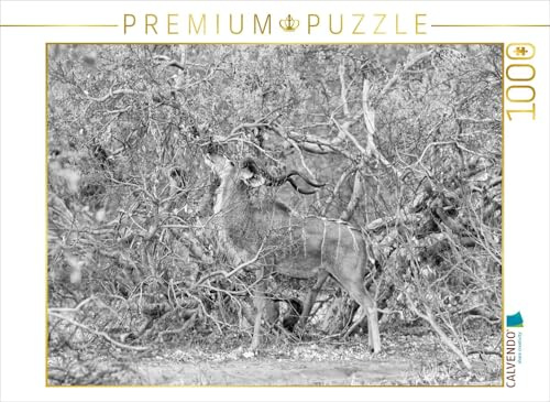 CALVENDO Puzzle Afrika: Männlicher Kudu im Moremi Games Reserve, Botswana | 1000 Teile Lege-Größe 64 x 48 cm Foto-Puzzle für glückliche Stunden