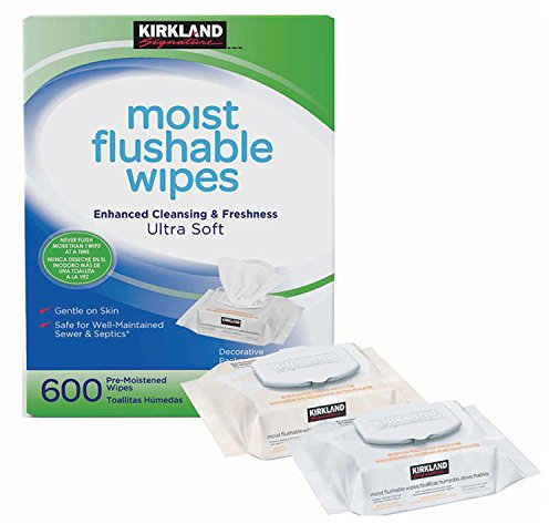 Kirkland Signature 600 Pack Hypoallergenic Alcohol Free Ultra Soft Moist Flushable Wipes