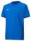 PUMA Jungen teamGOAL 23 Jersey jr T-Shirt, Electric Blue Lemonade-Team Power Blue, 164