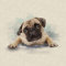 Aquarell-Tiere, Digitaldruck-Design, Baumwolle, reiche Leinen-Optik, Stoff für Wimpelkette, Jalousien, Basteln, Quilten, Patchwork und Polsterung, Verkauf pro Paneel (Mops)