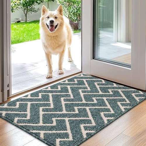 Biscpro Indoor Door Mats,50x80cm Door Mat Non Slip Backing,Dirt Trapper Mat Absorbent Non-Slip Doormat for Entrance,Inside,Kitchen,Front Back Door,Pets and Garden-Lake Blue