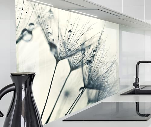 timalo Herd Spritzschutz Wand Spüle, Küche Küchenrückwand Glasoptik | Acryl Glas 2mm | Glasrückwand Acrylglas Küchenpaneele Küchenspiegel | 80x50cm Löwenzahn Regen Pusteblumen