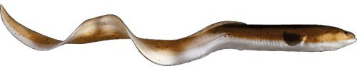 Savage Gear Real Eel Loose Body – Kunstköder zum Angeln, Aal-Design, 20 / 30 oder 40 cm, Unisex – Erwachsene, Olive Perle, 20 cm