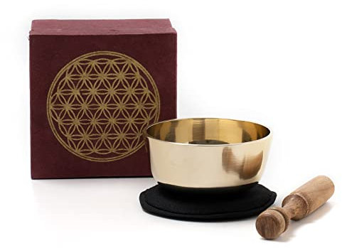 Gegossene Klangschale mit 'Blume des Lebens' - Gravur I für Yoga, Entspannung, Achtsamkeit, Meditation I Handarbeit aus Nepal I Inkl. Zubehör I Geschenkbox aus Loktapapier (M)
