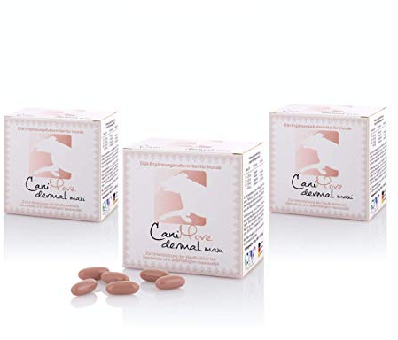 CaniMove Dermal Maxi (300 Kapseln) | für große Hunde mit Hauptproblemen, Schuppen, Juckreiz, Haarausfall | mit Zink, Biotin, PUFA und Lycopin