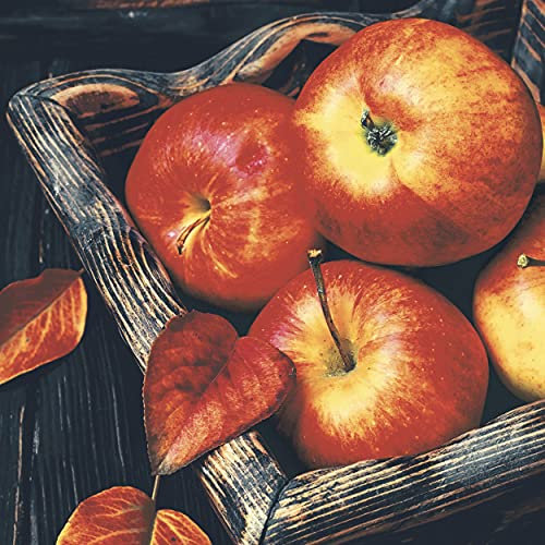 20 Cocktail Servietten Apfel im Herbst 24 x 24 cm