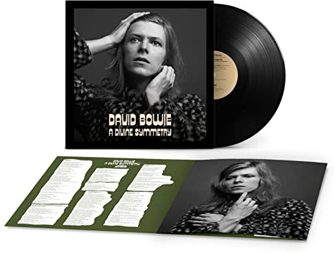 A Divine Symmetry (An alternative journey through Hunky Dory)