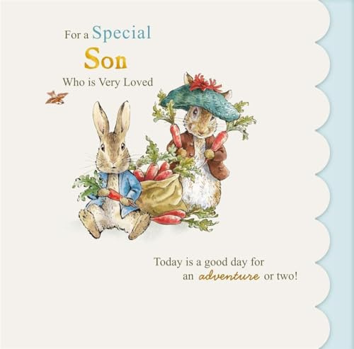 Cards Hallmark Peter Rabbit Son Birthday, For a Special Son Who is Very Loved
