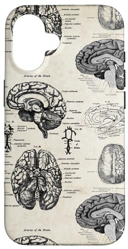 Anatomy Brain Vintage Lehrbuch Diagramme Neurowissenschaft Grafik Hülle für iPhone 16