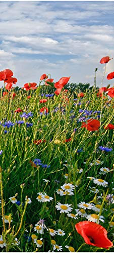 wandmotiv24 Türtapete Blumenwiese 70 x 200cm (B x H) - Dekorfolie selbstklebend Sticker für Türen, Türfolie, Aufkleber, M0493