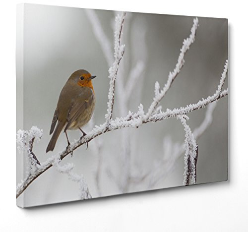 Bild auf Leinwand – gerahmt – fertig zum Aufhängen – Vogel Rotkehlchen – Schneelandschaft – Schnee – 70 x 100 cm – ohne Rahmen – (Code 1097)