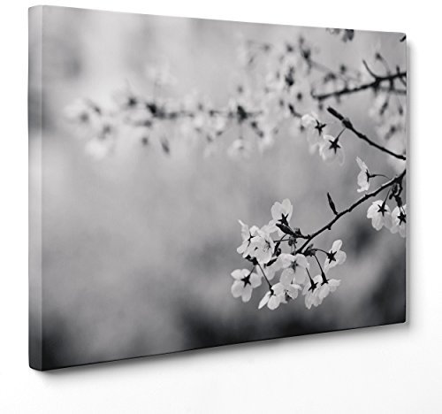 QUADRO SU TELA CANVAS - INTELAIATO - PRONTO DA APPENDERE - Fiori di Pesco - Foto bianco e nero - Fiori Rosa - 50x70cm - Senza Cornice - (cod.3614)