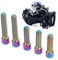 5Pcs Derailleur Screws, M4 3Pcs 13.5 2Pcs 20mm Titanium Alloy Rustproof Easy Installation Cage Screws Front Rear Derailleur Screw for Mountain Bike (Colorful)