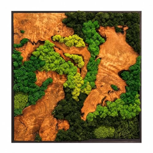 Qianly Wall Art Vegetale Decorativo con Legno Naturale e Muschio Stabilizzato, Composizione Floreale Originale, Adatto a Salotto Camera da Letto Ufficio Ingresso, 40 * 40cm