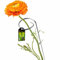KADAX Pflanzehalter aus Stahl pulverbeschichtet, wetterfeste Blumenstütze, Pflanzestütze, Rankhilfe für Pflanzen, Garten, Balkon, Staudenhalter (Höhe: 60 cm)