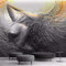 Vlies Fototapete Schwarzes Mädchen Relief 3D Effekt Vlies Tapeten Wandtapete XXL Moderne Wanddeko Wohnzimmer Schlafzimmer Büro Flur 200 cm B x150 cm H