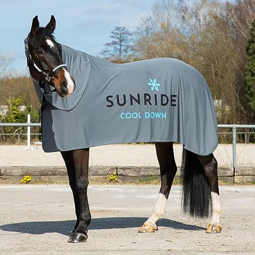 SUNRIDE Couverture rafraîchissante pour chevaux (Cool Down) (ensemble 3 pièces) – avec couvre-cou et tissu – effet rafraîchissant immédiat par refroidissement par évaporation – durable – gris (105 cm)