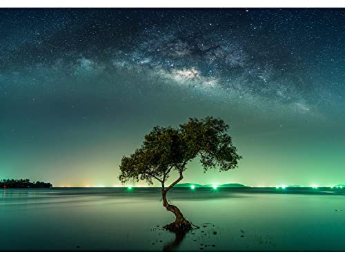 Runa Art Fotomurales Aurora boreal Árbol Cielo nocturno 352 x 250 cm Fondo De Pantalla XXL Moderna Decoración De Pared Sala Cuarto Oficina Salón Verde 9590011a